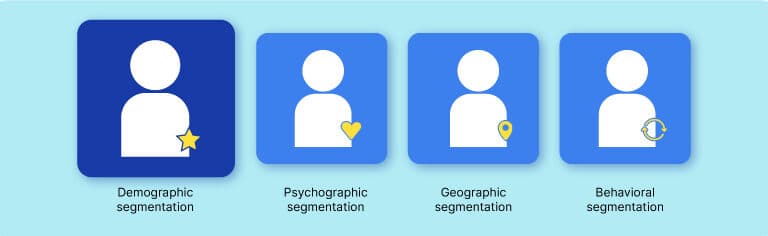 Demographic Segmentation Examples1