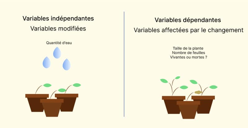 Independent Variables and Dependent Variables variables indépendantes