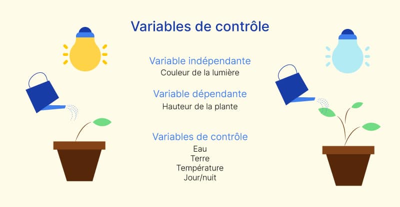 Un guide détaillé sur les variables de contrôle : quoi, pourquoi et comment Un guide détaillé sur les variables de contrôle : quoi