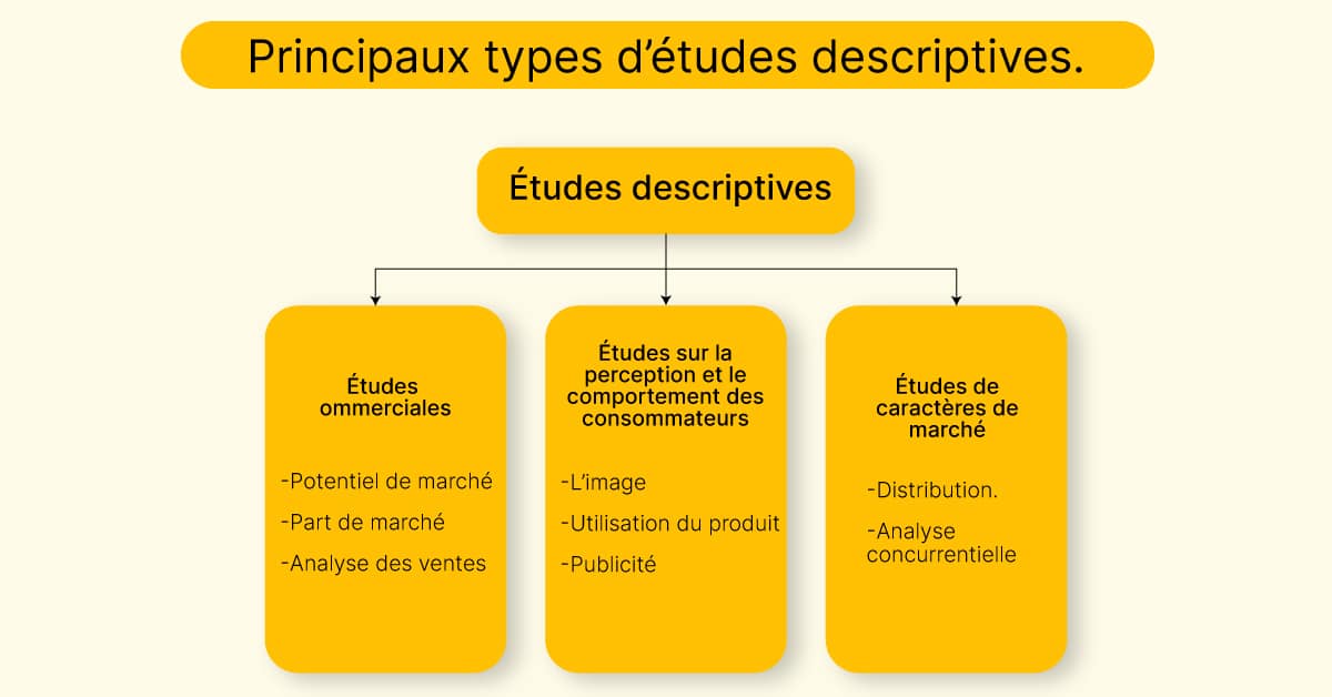 Recherche descriptive : définition, méthode et exemples Recherche descriptive