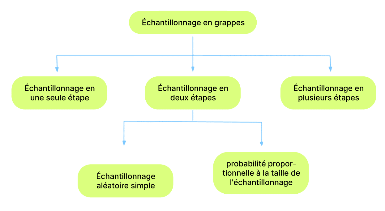 Cluster Sampling - Definition and examples Échantillonnage en grappes